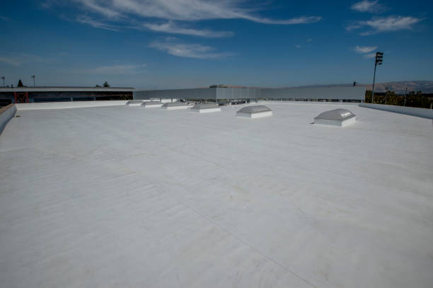 Trusted Round Lake Park, IL Roofing Experts
